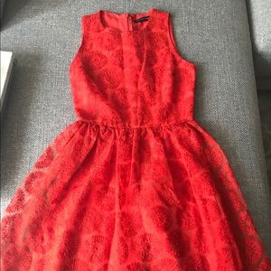 zara red lace dress
